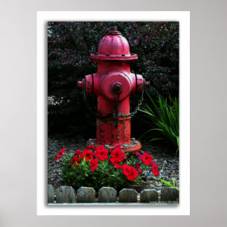 Redo, Willing and Able Poster