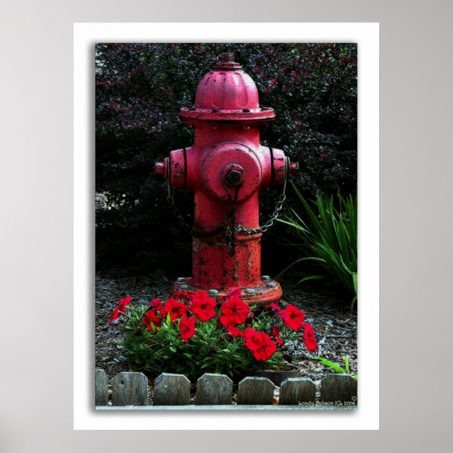 Redo, Willing and Able Poster (Framsidan)