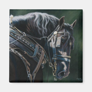Redo & Willing Black Percheron Draft Horse Magnet