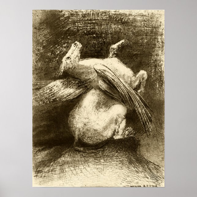 Redon - det kraftfulla Vinge (Animal Black Space) Poster (Framsidan)