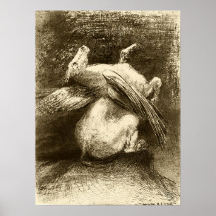 Redon - Det maktlösa vingel (Djur Svart rymd) Poster