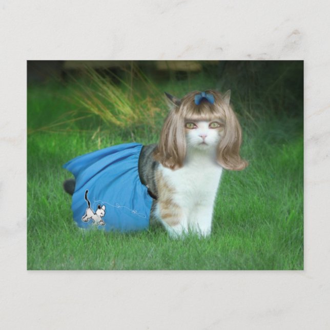 Redot för Sock Skutt! Vykort (Framsida)