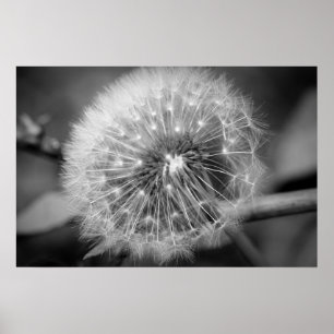 Redot för start!!! poster