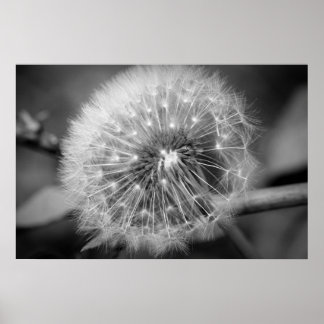 Redot för start!!! poster