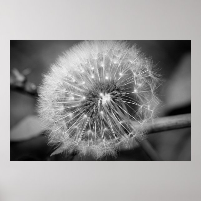 Redot för start!!! poster (Framsidan)