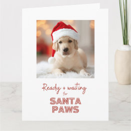 Redot Santa Tassar och väntan - Hund älskare jul Kort