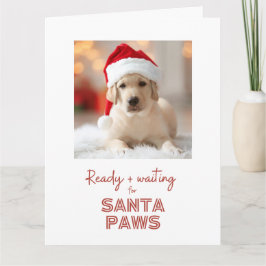 Redot Santa Tassar och väntan - Hund älskare jul Kort