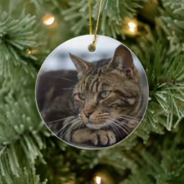 redot tabby katt julgransprydnad keramik
