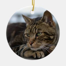 redot tabby katt julgransprydnad keramik