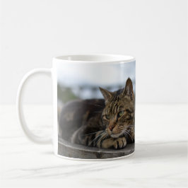 redot tabby katt kaffemugg