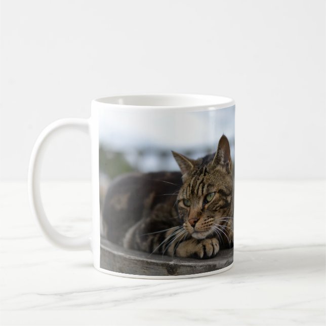 redot tabby katt kaffemugg (Vänster)