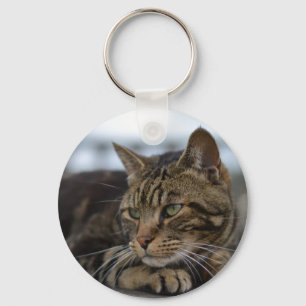 redot tabby katt nyckelring
