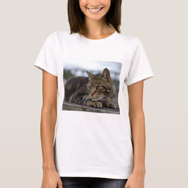 redot tabby katt t shirt (Framsida)