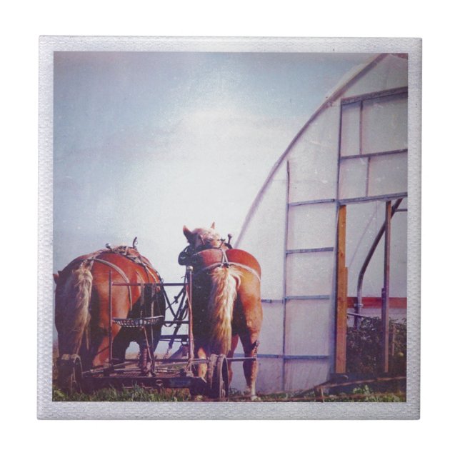 Redot Utkast till hästar för arbete Kakelplatta (Framsidan)