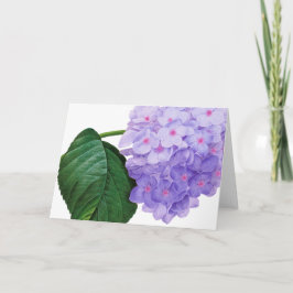 Redout Lila Hydrangea Greeting Card Kort