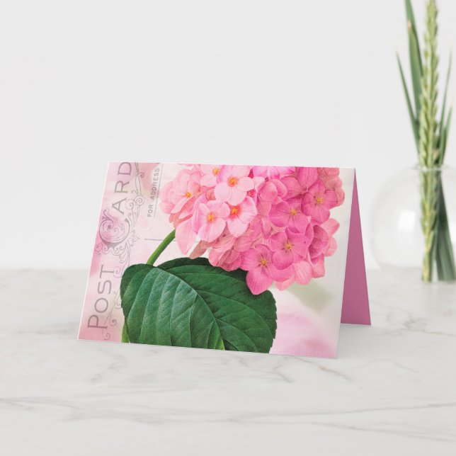 Redout Rosa Hydrangea Birthday Greeting Card Kort (Framsida)