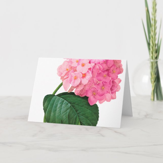 Redout Rosa Hydrangea Greeting Card Kort (Framsida)