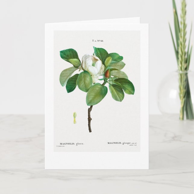 REDOUTÉ ANPASSADE BOTANICAL GREETING CARD KORT (Framsida)
