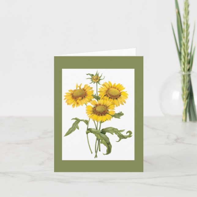 Redoute Blanket Flower Notecard Kort (Framsida)