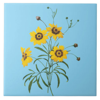 Redoute Coreopsis Blomflisa Kakelplatta
