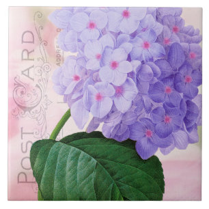 Redoute Fransk Lila Hydrangea Ceramic Tile Kakelplatta