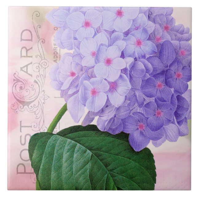 Redoute Fransk Lila Hydrangea Ceramic Tile Kakelplatta (Framsidan)