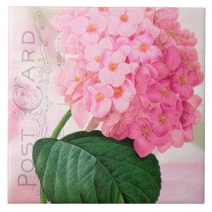 Redoute Fransk Rosa Hydrangea Ceramic Tile Kakelplatta