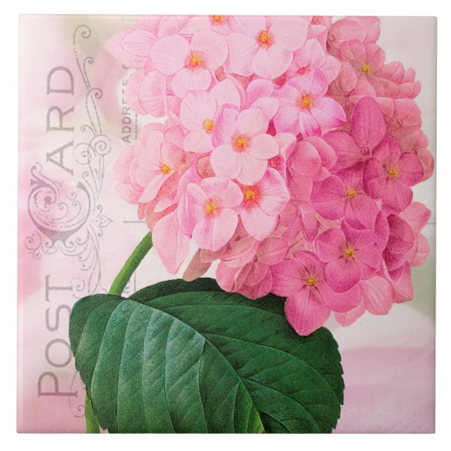 Redoute Fransk Rosa Hydrangea Ceramic Tile Kakelplatta (Framsidan)
