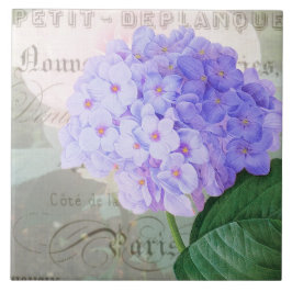 Redoute Hydrangea Fransk Dekorniska plattor Kakelplatta