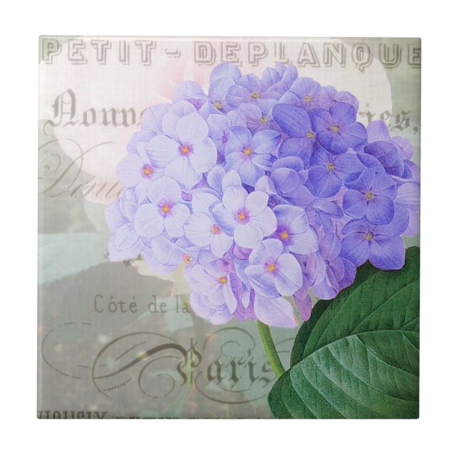 Redoute Hydrangea Fransk Dekorniska plattor Kakelplatta (Framsidan)
