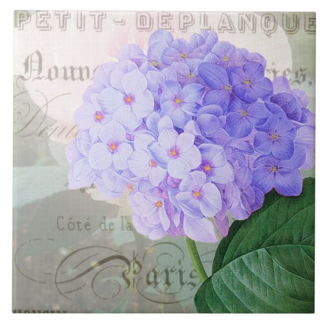 Redoute Hydrangea Fransk Dekorniska plattor Kakelplatta (Framsidan)
