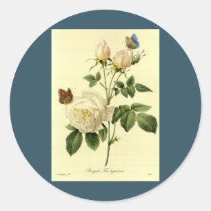Redoute Print: "Bengal Ro Hymanee" Runt Klistermärke