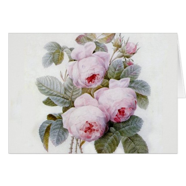 Redoute Ro Hälsningskort (Framsidan Horizontal)