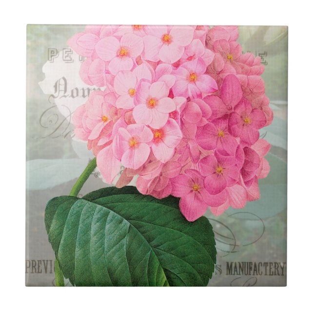 Redoute Rosa Hydrangea Ceramic Tile Kakelplatta (Framsidan)