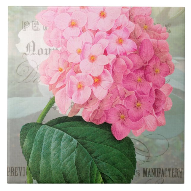 Redoute Rosa Hydrangea Ceramic Tile Kakelplatta (Framsidan)