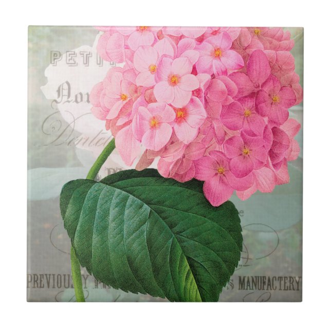 Redoute Rosa Hydrangea Keramisk Platta Kakelplatta (Framsidan)