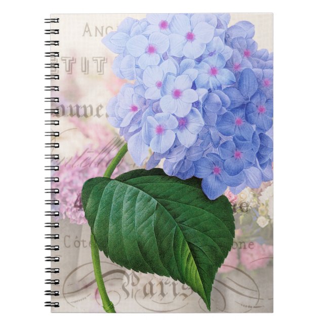 Redoute Rosa Hydrangea Notebook Anteckningsbok (Framsidan)