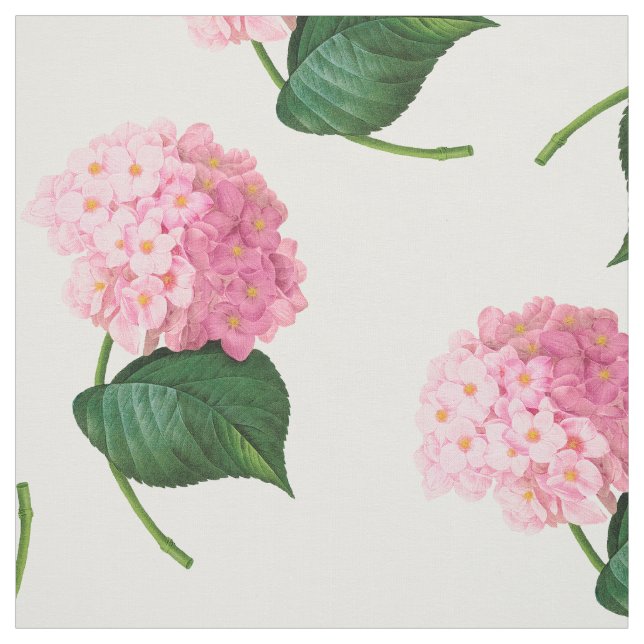 Redoute Rosa Hydrangeas Combed Cotton Fabric Tyg (Provkarta)