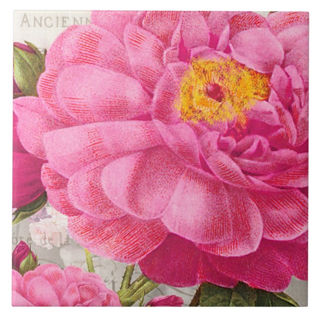 Redoute Rosa ros Ceramic Tile Kakelplatta (Framsidan)
