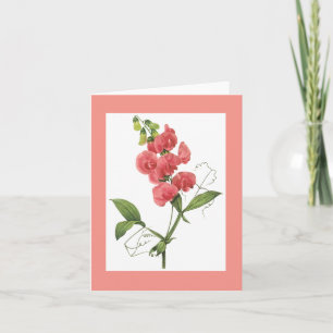 Redoute söt ärta Notecard Kort