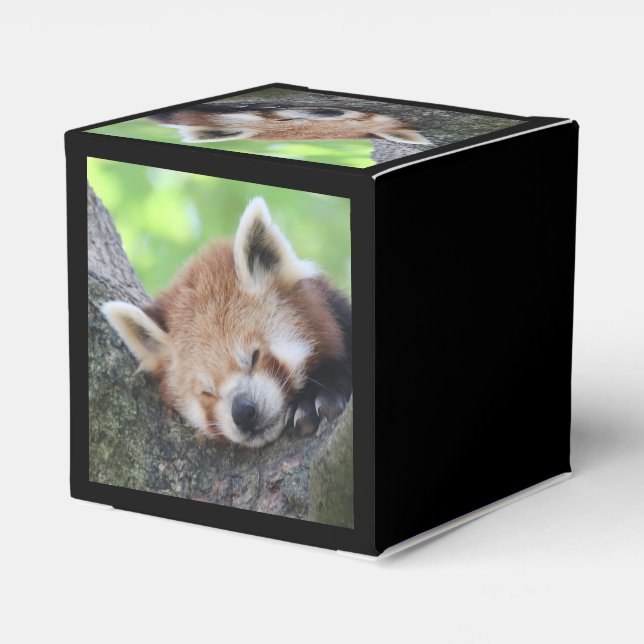 RedPanda20150705.jpg Presentaskar (Baksidan Sidan)