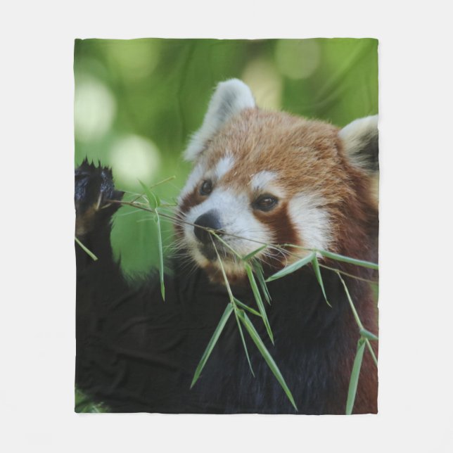 RedPanda 002 Fleecefilt (Framsidan)