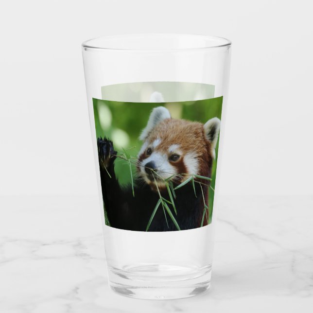 RedPanda 002 Glaskopp (Framsida)