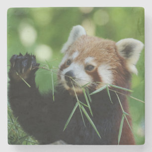 RedPanda 002 Stenunderlägg