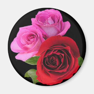 RedPinkTonedRoses2 Magnet