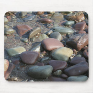 REDREAMING-STENAR MUSMATTA