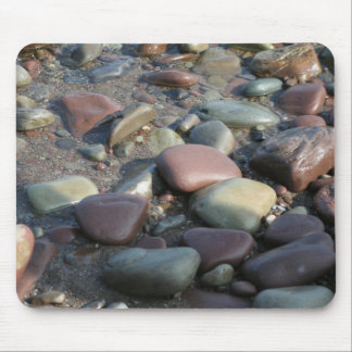 REDREAMING-STENAR MUSMATTA