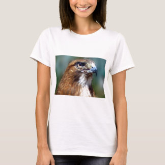 Redtailhök Tee Shirt