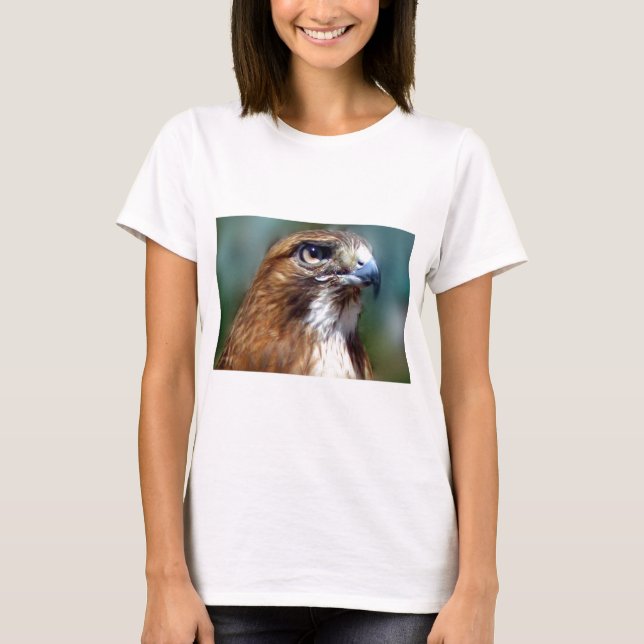 Redtailhök Tröja (Framsida)