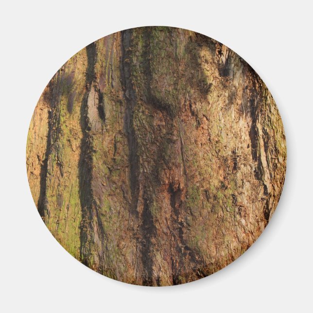 Redwood Bark Photo Struktur Magnet (Framsidan)